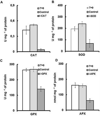 Inhibition of antioxidant enzyme activities enhances carotenogenesis in microalga Dactylococcus dissociatus MT1